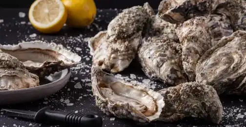 What Is the Amino Acid Composition of Oyster Peptide?